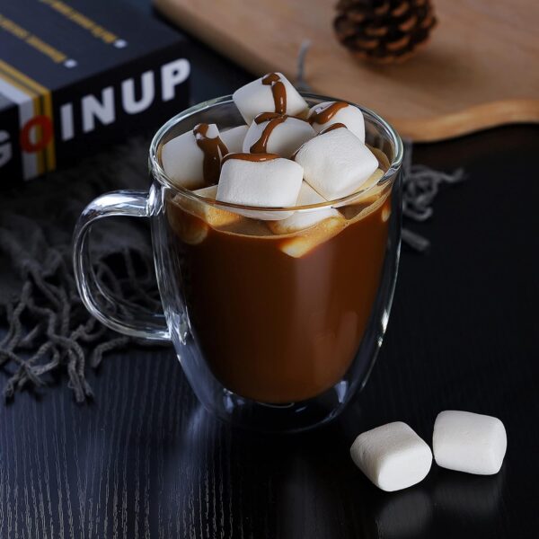 Large Glass Coffee Mugs - 500ml Double Walled Insulated Mugs with Handle, Perfect for Latte, Americano, Cappuccinos, Tea Bag, Beverage (Pack of 1)