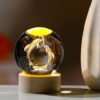 Crystal ball dolphin night light on wooden base