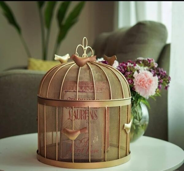 Minimalist Metal Wire Mesh Fruit Basket for Everyday Storage