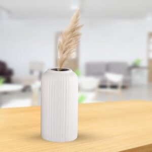 Elegant white flute ceramic vase styled with fluffy beige pampas grass for modern home décor