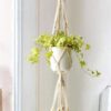 White bohemian style macramé cotton plant hanger design
