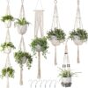 Traditional macrame cotton plant hanger in natural white with nursery pot