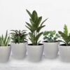 Modern Decorative Plant Pots – Stylish Home & Garden Décor