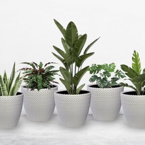 Modern Decorative Plant Pots – Stylish Home & Garden Décor