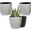 Stylish tabletop decorative flower pot for home decoration