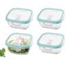 Borosilicate square glass container with airtight clip fresh lid