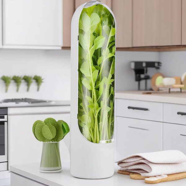 Transparent herb keeper with lid for fridge organization