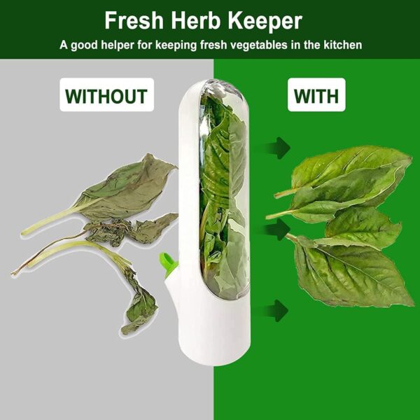 Fresh herb keeper for refrigerator – eco-friendly and reusable