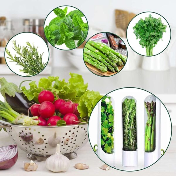 Fridge herb keeper pod for fresh herbs and small veggies