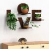 Decorative floating shelves with flower pots for green décor