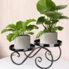 Elegant plant pot stand for contemporary home interiors