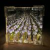 Tulip blossom night lamp with reflective mirror surface