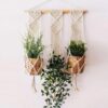Boho macrame wall hanging with wooden shelf for indoor plants