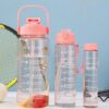 Reusable 2L Water Bottle with Straw, Handle & Inspiring Quotes (Set of 3)