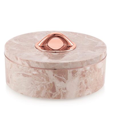 Transparent 4-section dry fruit storage container with airtight lid