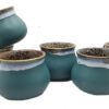 Stylish Laghima Jadon ceramic coffee mugs in matka shape