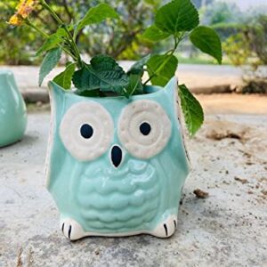 Cute Owl Shaped Ceramic Pot for Indoor Plants