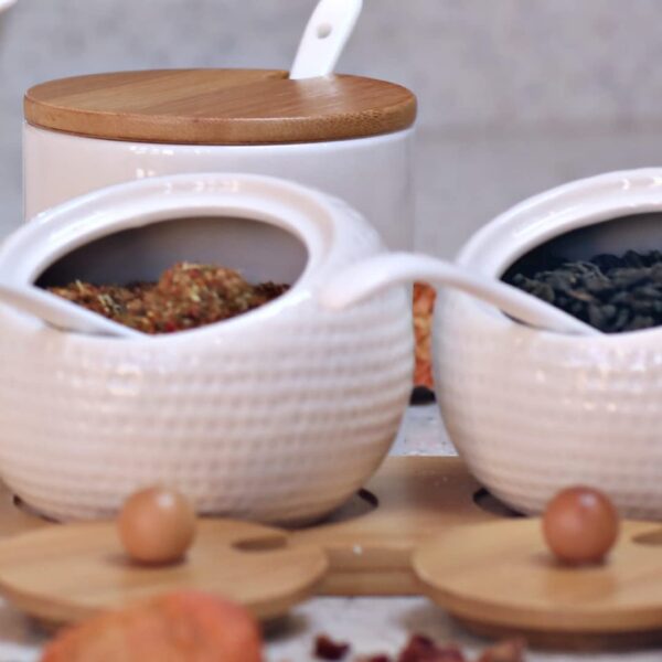 Premium ceramic spice container for salt, sugar, and condiments