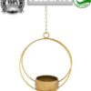Elegant iron hanging planter with durable chain
