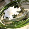 Modern decorative glass bowl uruli for tabletop styling