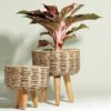 Handcrafted natural rope planter for succulents and herbs