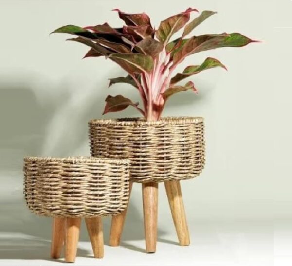 Handcrafted natural rope planter for succulents and herbs