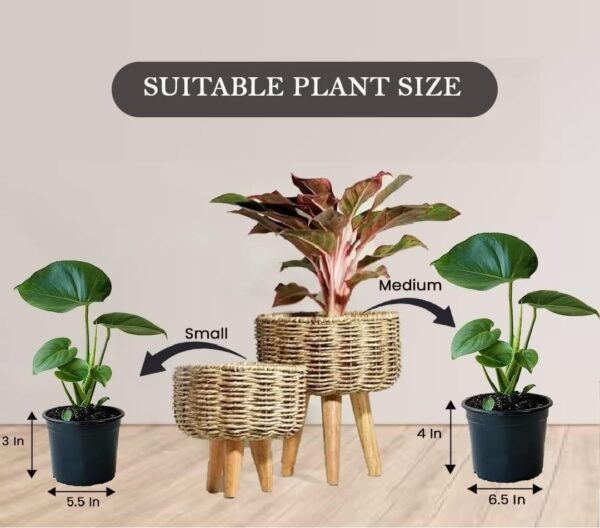 Natural fiber twisted rope plant pot for home décor