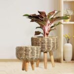 Jute handmade twisted natural rope planter for indoor plants