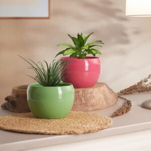 Stylish decorative multicolour metal planter pot ideal for home and office plant décor
