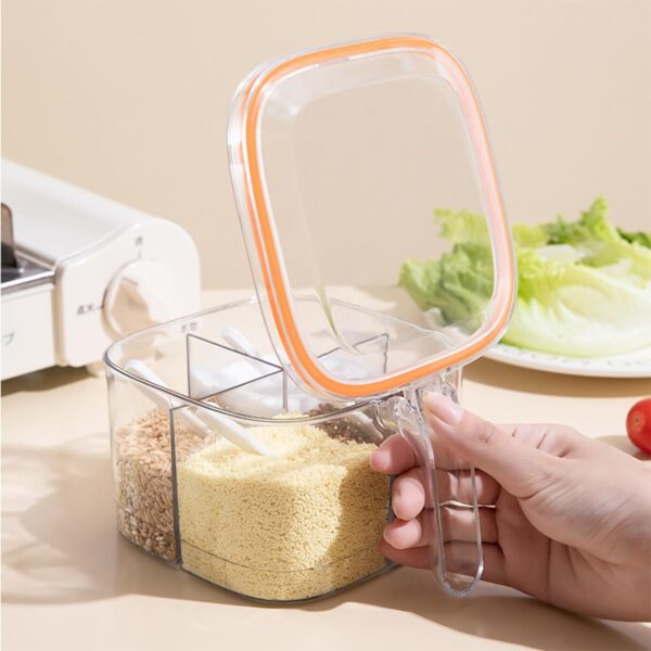 Compact Spice Storage Box with 4 Compartments