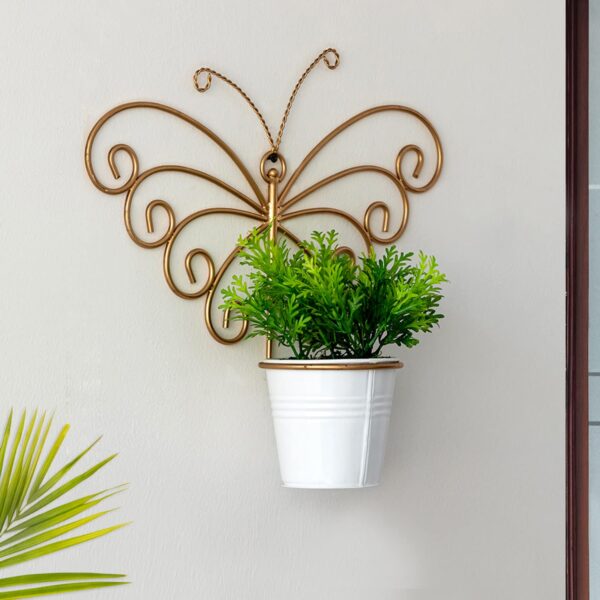 Creative Titli Wall Art Planters for Balcony and Terrace Decor