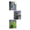 Modern transparent hydroponic vase for vertical wall gardening