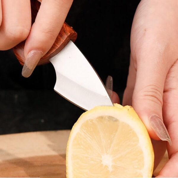 Small Japanese knife with sharp blade and leather-style sheath