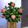 Plastic faux fruit plant for tabletop decoration
