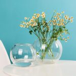 Transparent glass terrarium bowl for succulents and indoor plants