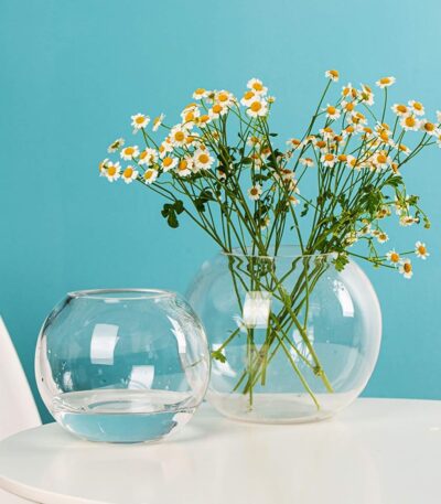 Transparent glass terrarium bowl for succulents and indoor plants