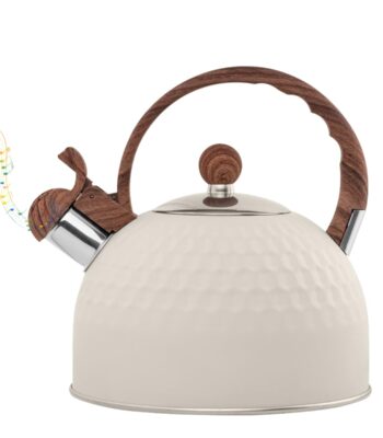 Stainless steel tea kettle for gas stove and induction boiling water.