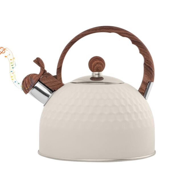 Stainless steel tea kettle for gas stove and induction boiling water.
