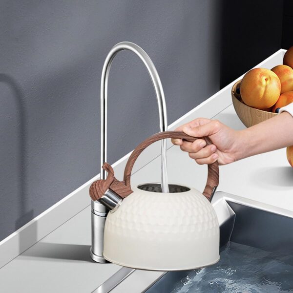 Modern stainless steel tea kettle with wide base for fast heating.