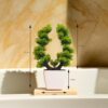 Set of three artificial bonsai plants in decorative pots