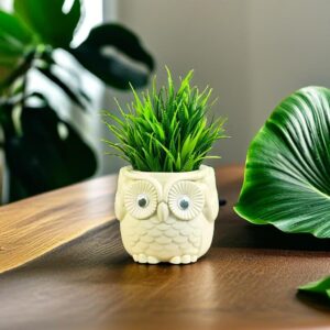 Artificial fern plant in small plastic owl pot for home décor