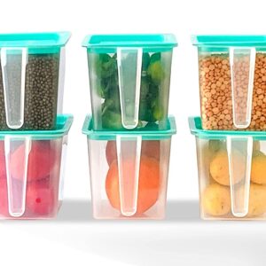 Fridge storage boxes organizer with handle airtight lid