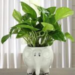 Cute baby elephant shaped ceramic indoor flower pot planter for home décor