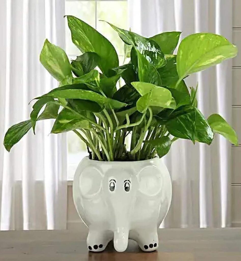 Cute baby elephant shaped ceramic indoor flower pot planter for home décor