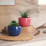 Decorative multicolour planters for indoor plants and home décor