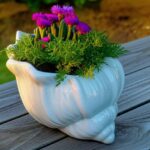 Decorative conch shell ceramic planter vase for indoor plants