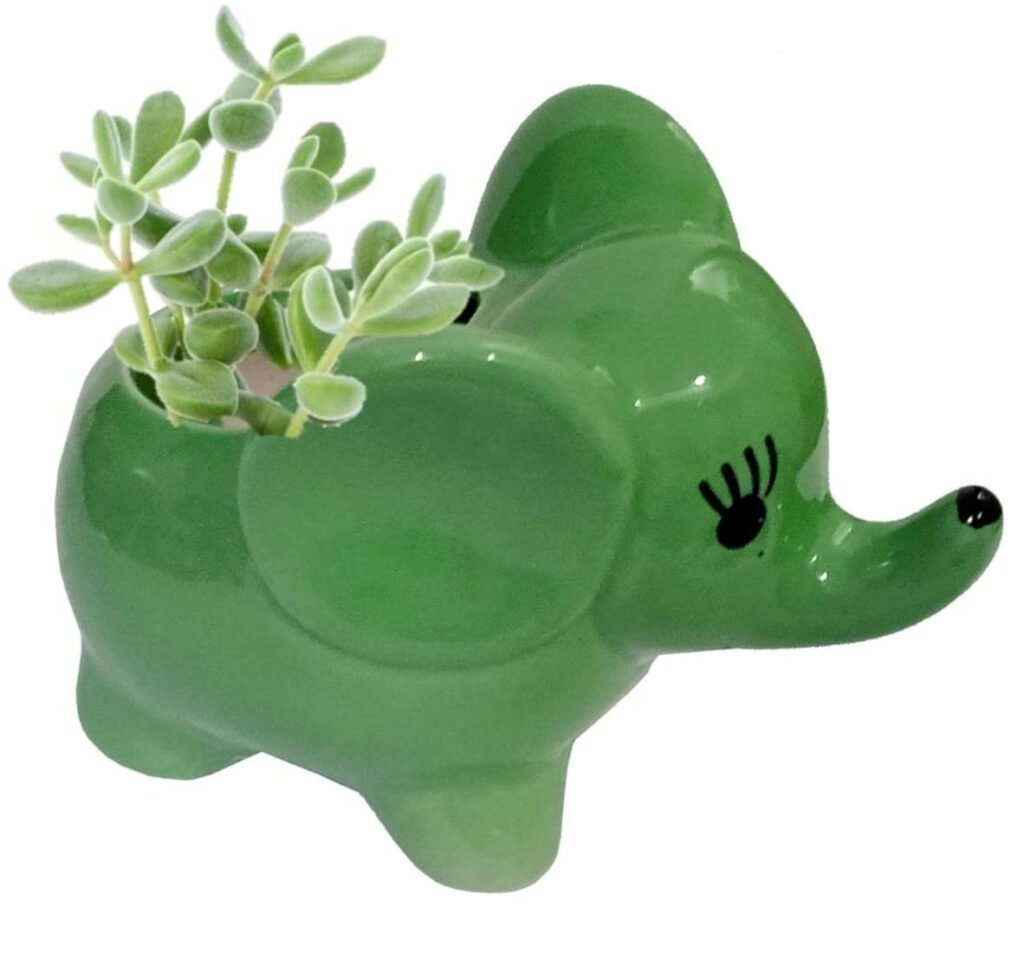 Cute ceramic elephant planter for indoor succulents and small plants