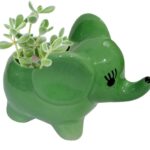 Cute ceramic elephant planter for indoor succulents and small plants