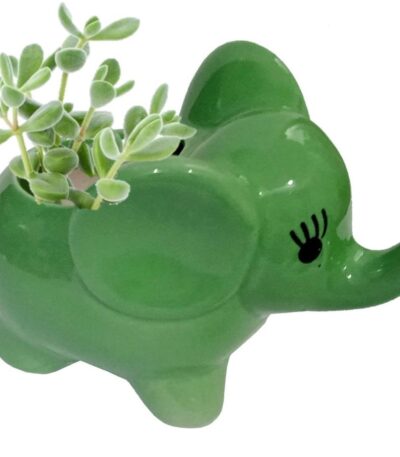 Cute ceramic elephant planter for indoor succulents and small plants