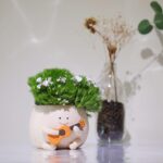 Smiley face planter pot cute indoor succulent plant holder